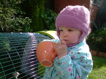 Olivia feeding yet more sweetcorn to the chickens