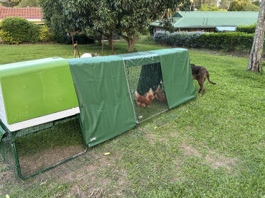 New coop for my three little hens