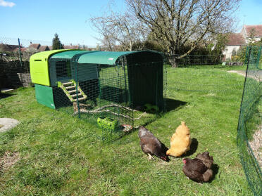 Hen house with extension, tarpaulins and net 