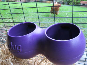 Our new purple glug!