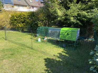 Eglu Cube 3 metres with outlet