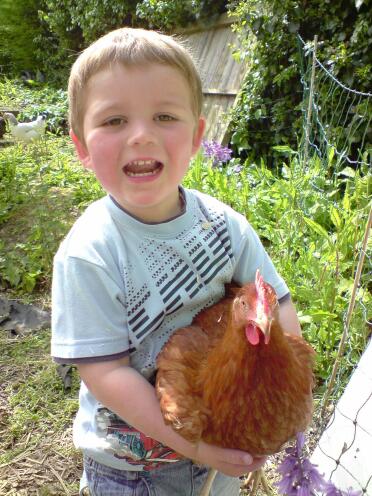 Vaughan (3 years old)with nuzzle our triple yoke hen