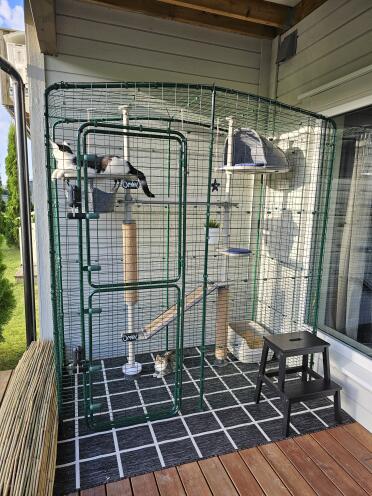 The cats love spending time outside in their balcony enclosure!