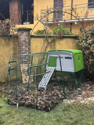 Chicken coop in final position
