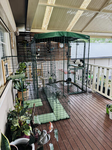 A perfect addition to the deck!