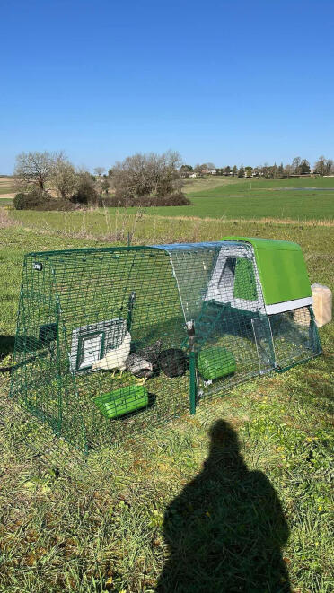 Henhouse in place