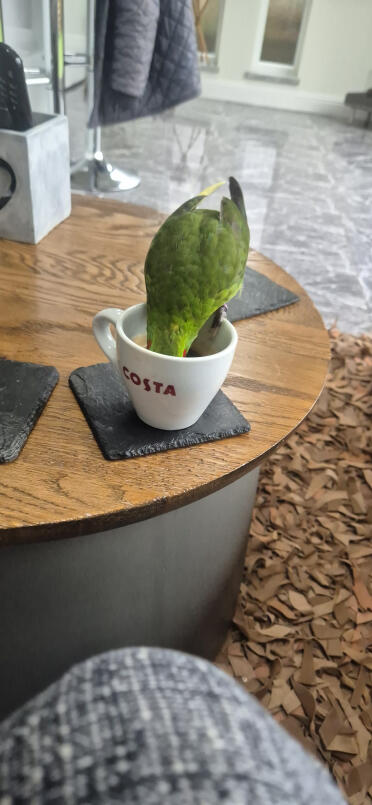 Having a coffee break!