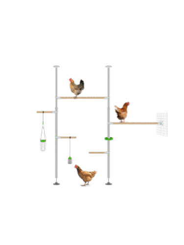 Poletree chicken tree perch system hensemble setup