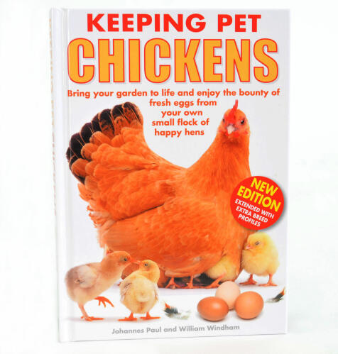 Keeping pet chickens - paul windham