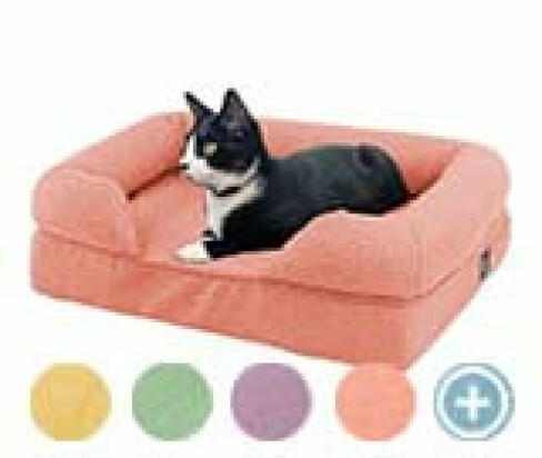 memory foam bolster cat bed icon image