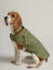 Dog wearing joules dog rain coat