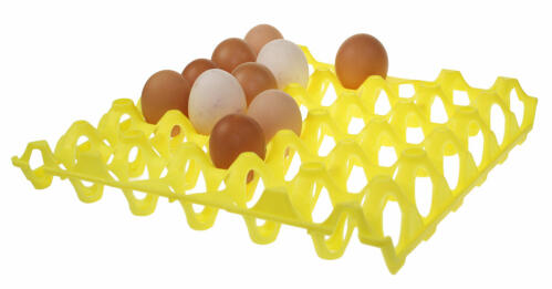 Plastic egg tray for easy egg collecting