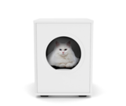 Maya cat house icon