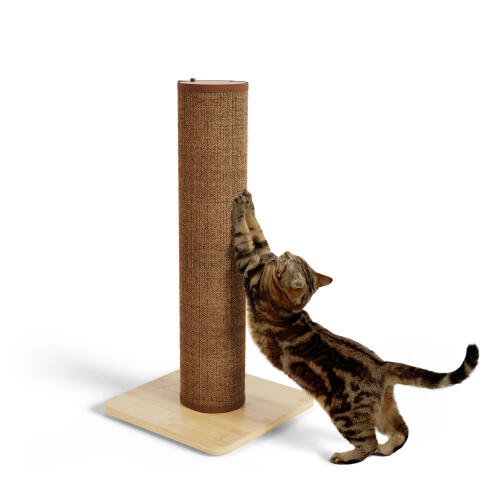 Switch sisal cat scratching post - coffee