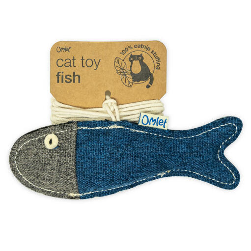 Fish catnip toy