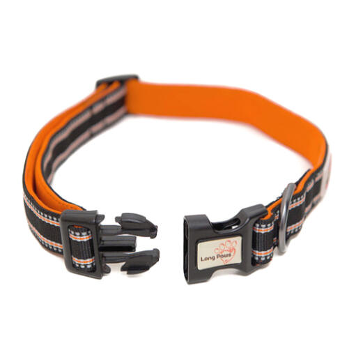 Long paws comfort padded dog collar black & orange
