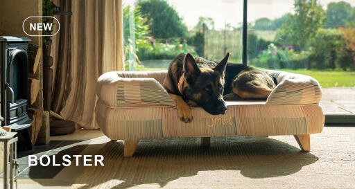 Dog walk collection bolster dog bed