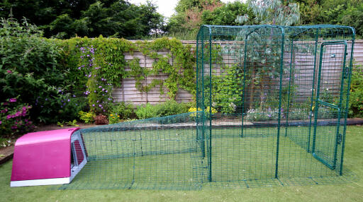 Eglu deals rabbit run