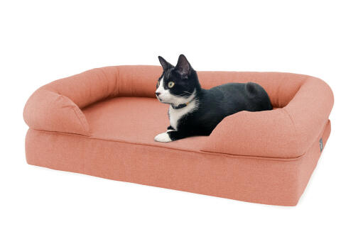 A cat sitting on a pink cat bed.