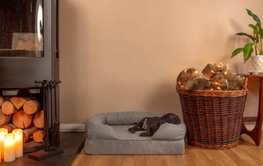 A small black dog lying on a grey memory foam bolster bed in a living room