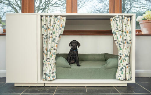 A small black dog on a green bolster bed inside a Fido Studio with a wardrobe attached and curtains in front