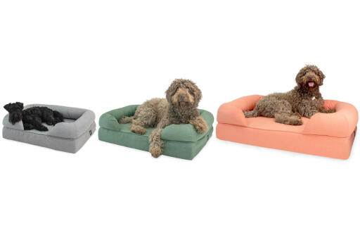 Three sifferent sizes of bolster beds, small medium and large in three different colours, grey, green and pink