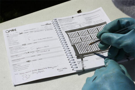 Quick and easy to record the state of your hive with Omlet's booklet