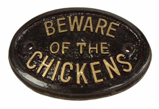 Beware of the chickens plaque