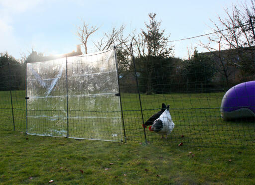 Clear wind break on Omlet fencing