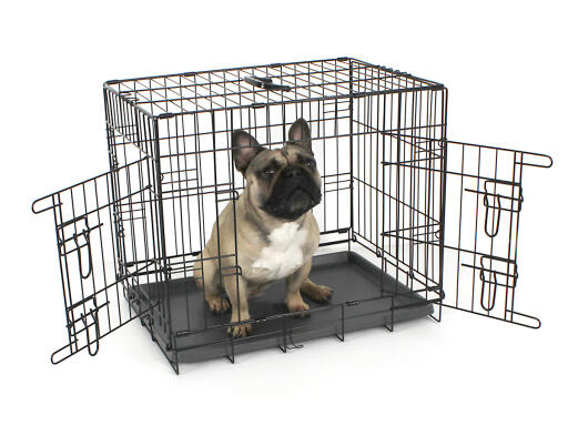 Fido Classic 24 dog crate with dog