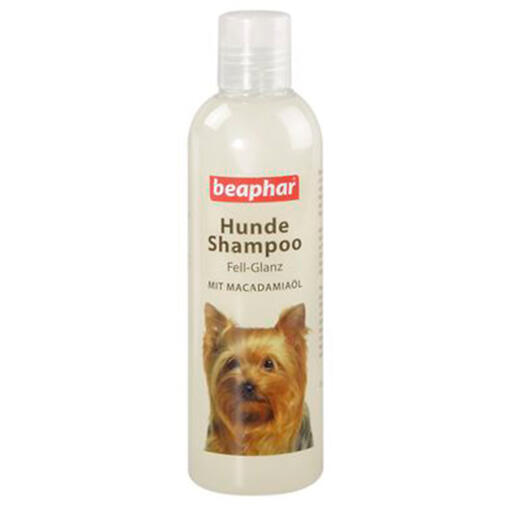 Beaphar dog shampoo coat shine (250ml)