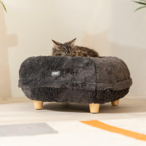 Cat sleeping on Omlet Maya donut cat bed in early grey