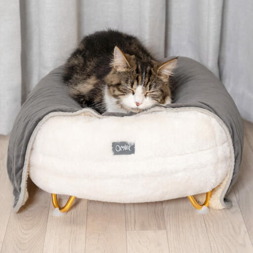 Metal deals cat bed