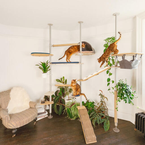 Freestyle stylish cat tree extendible accessories scratchers bowls plants treat holder den hammock omlet