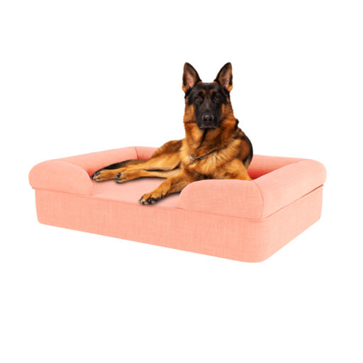 Dog sitting on peach pink large memory foam bolster dog bed
