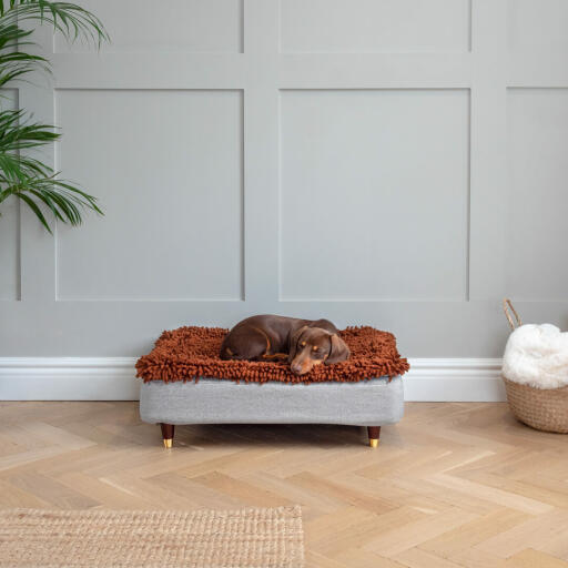 Dog laying on Omlet Topology dog bed with microfiber topper with brass cap wooden feet