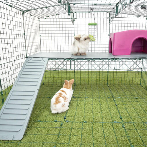 Omlet Zippi rabbit playpen with Zippi platforms, purple Zippi shelter, Caddi treat holder and rabbits