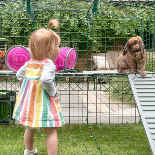 Inside Omlet Zippi rabbit playpen with Zippi platforms, Zippi play tunnel, girl and rabbit