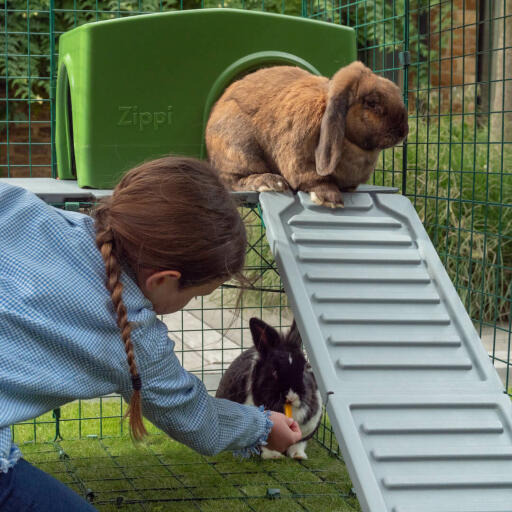 Shy rabbits will love the sheltered spot below the platforms where they can enjoy a nap or a tasty treat!