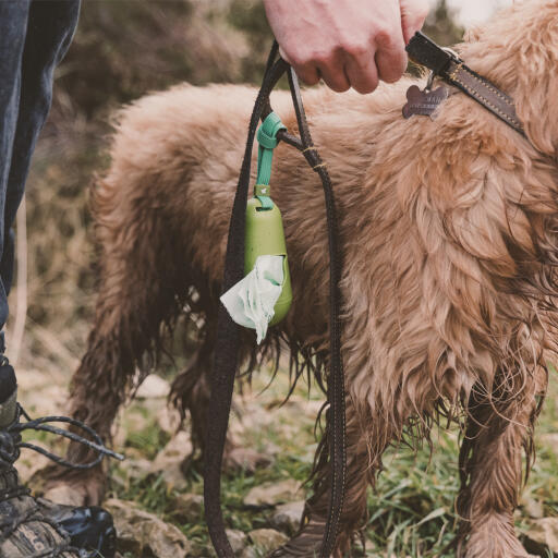 Beco dog poop bags dispenser attached to dog lead