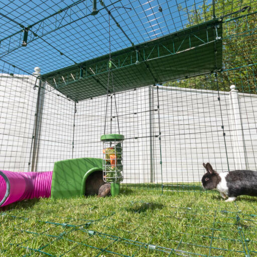 An Omlet rabbit run with shelter and tunnel.