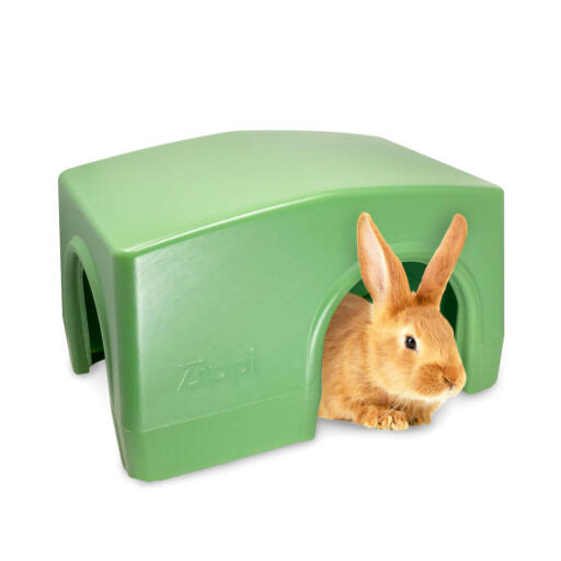 Zippi shelter rabbit green