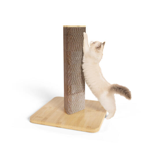 Short Stak cat scratcher with a bamboo base