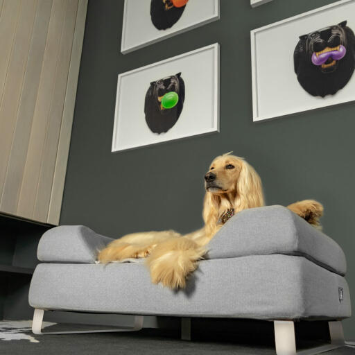 Raising the bed over the floor with customised feet improves airflow and hygiene, making it a perfect solution for a happier and healthier dog.