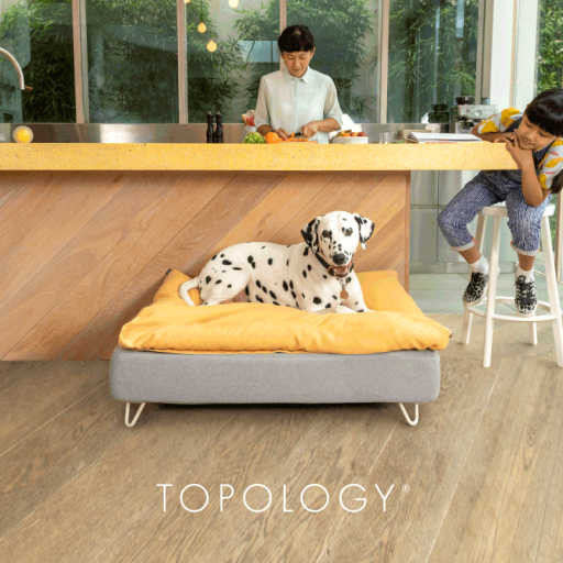 Dalmatian laying on Omlet Topology dog bed with beanbag topper and white hairpin feet