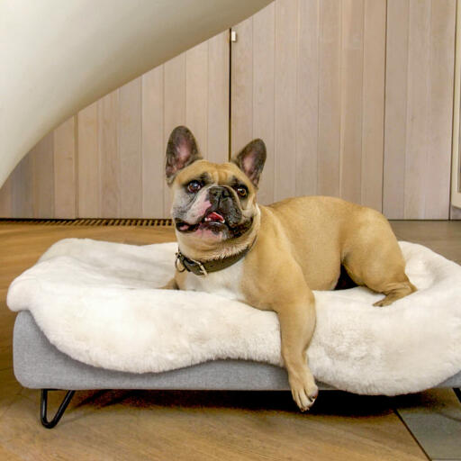 The top quality memory foam mattress base supports your dog while they are resting, moulding itself around the body for extra comfort.