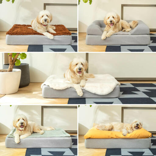 Woody the Goldendoodle likes to switch it up; clockwise from top left the Microfiber, the Bolster, the Beanbag and the Quilted.
