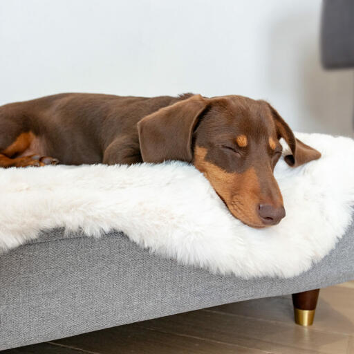 Choose from a range of feet to elevate your dog’s bed for an extra stylish touch that will perfectly compliment the rest of your furniture.