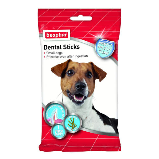 Beaphar dental sticks for small dogs