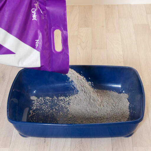 Pouring Omlet clay cat litter into litter tray